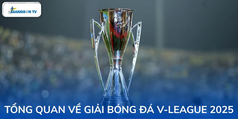Tổng quan về giải bóng đá vô địch quốc gia Việt Nam
