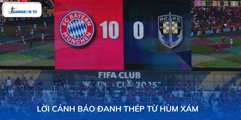Lời cảnh báo đanh thép từ Hùm xám