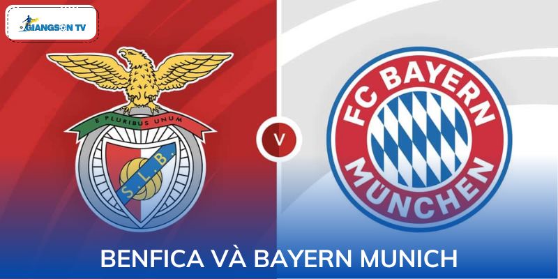 Benfica Và Bayern Munich