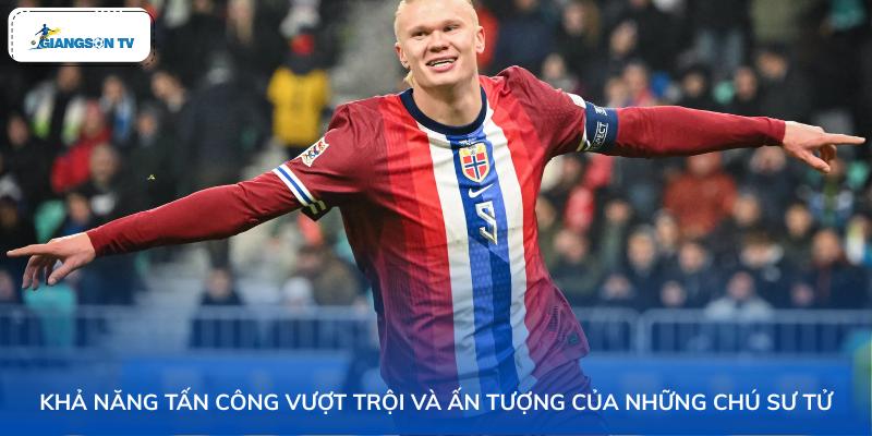 Khả năng tấn công vượt trội, ấn tượng của những chú sư tử